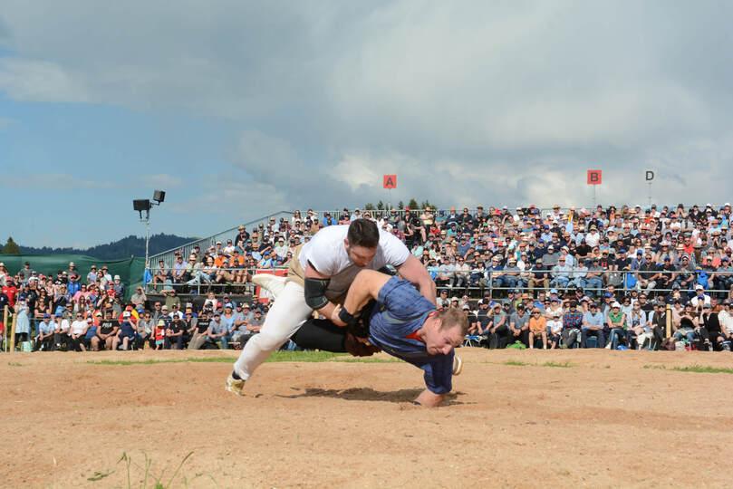 Poster Schwyzer Kantonalschwingfest Brunnen