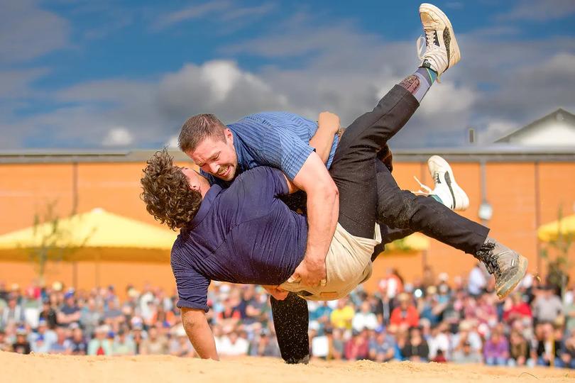 Poster Freiburger Kantonalschwingfest Murten