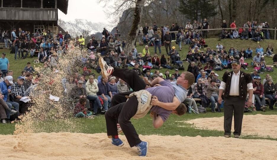Poster of Ballenberg-Schwinget Hofstetten bei Brienz
