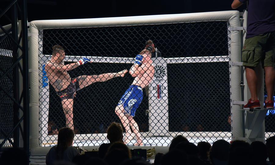 Poster of Kampfsport: MMA Fight Night Zürich