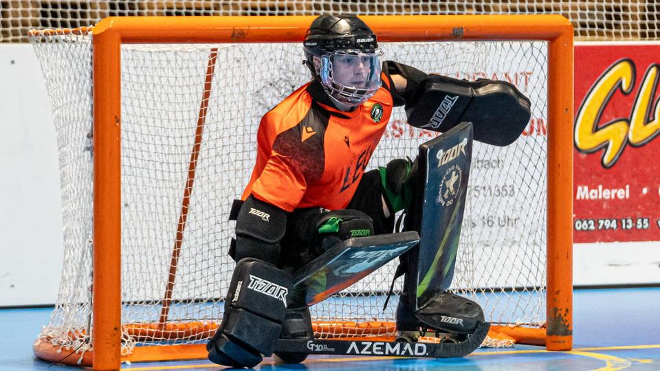 Poster of Rollhockey NLB - Qualifikation: RHC Dornbirn vs. RCV White Sox