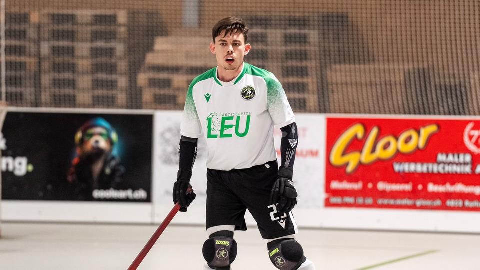 Poster Rollhockey NLB - Playoff: RCV White Sox vs. RHC Uri