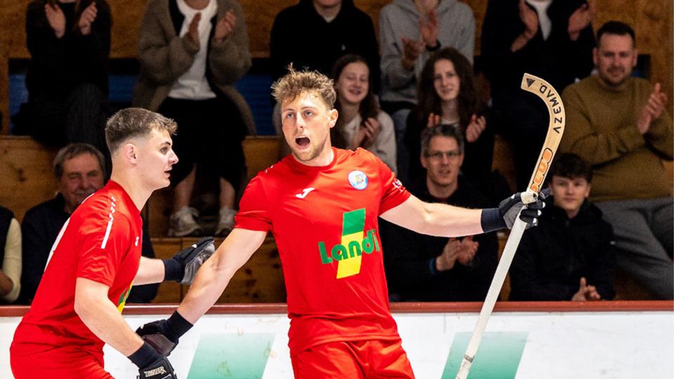 Poster Rollhockey NLB - Playout: RHC Diessbach II vs. RHC Uri