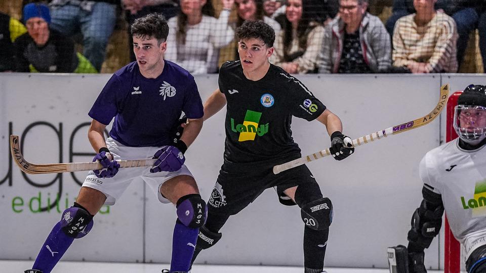 Poster Rollhockey Harvest National League - Playoff: RC Biasca vs. RHC Diessbach